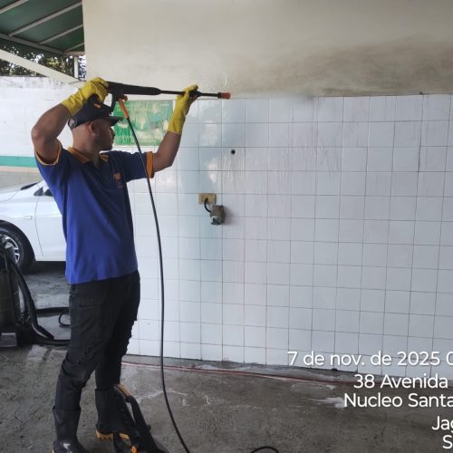 Higienização Profissional (Todos os Tipos)