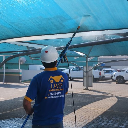 Higienização Profissional (Todos os Tipos)